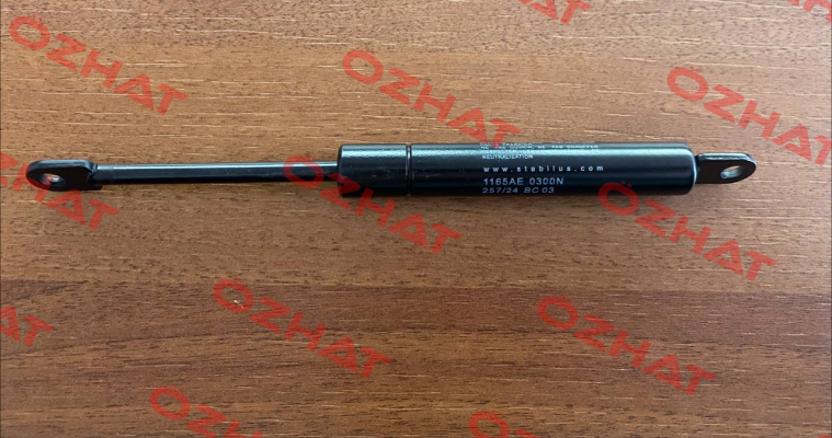 1165AE 0300N 264/04 E 09 Stabilus