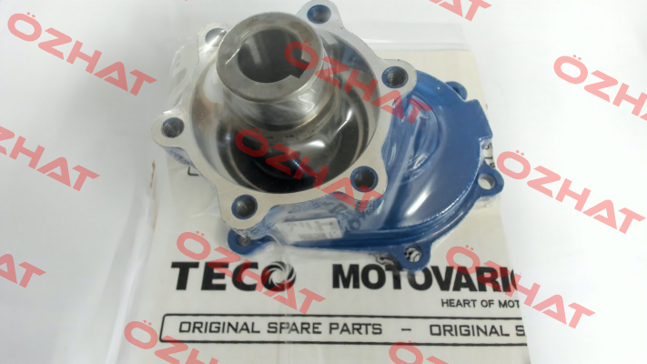 3043876 Motovario