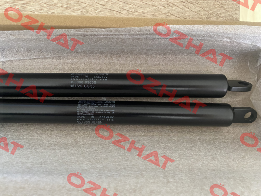 095060 Stabilus