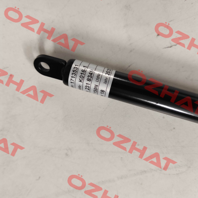 1713531 Suspa
