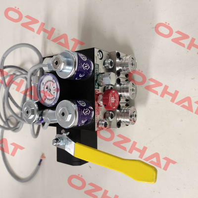 102322 / 0.75" EV 10 Blain Hydraulics