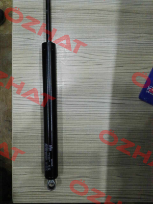 02860173 Suspa