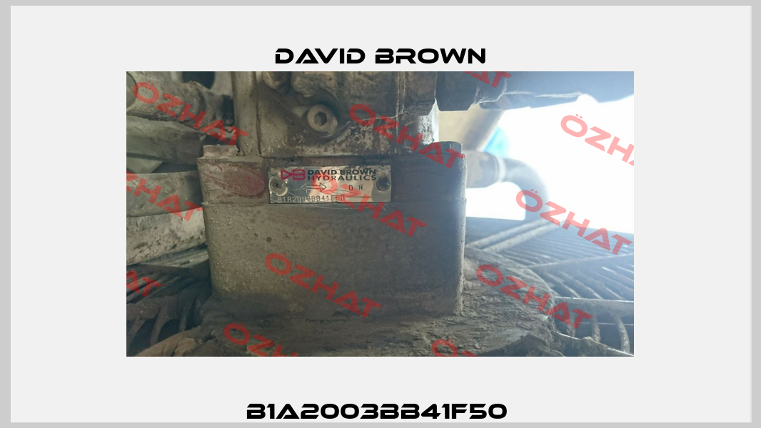 B1A2003BB41F50  David Brown