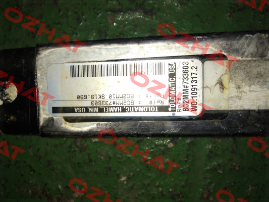 BC2MM10 SK19.690  Tolomatic