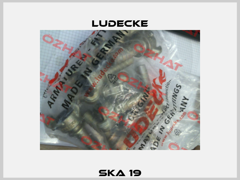 SKA 19 Ludecke