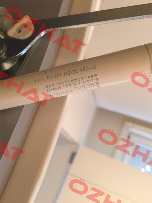 371 254 Stabilus