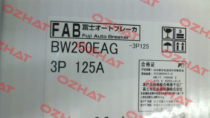 BW250EAG-3P125 Fuji