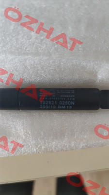 192821 0250N Stabilus