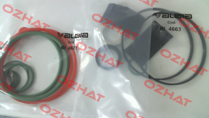 repair kit for 82SR1318  Valbia