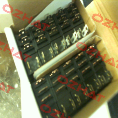 RJ1S-CL-D24 Idec