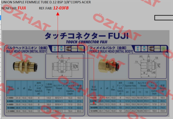 12-03FB  Fuji
