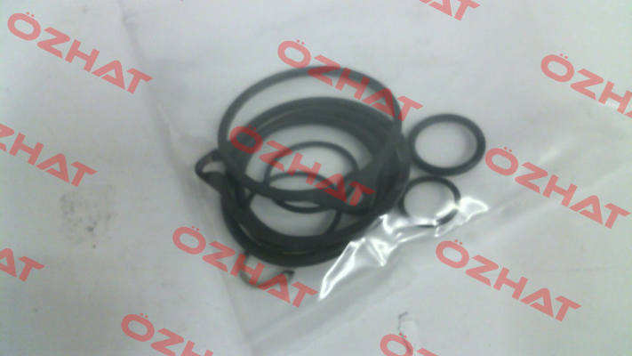 Gasket kit for 82DA0010 Valbia