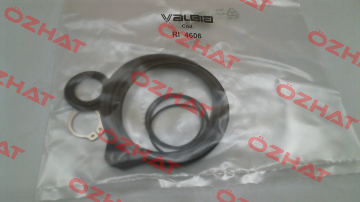 seals for DA 85 Valbia