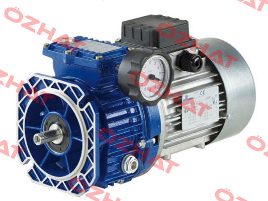 TXF010 P200*19 200/19*40 V1 CM MV Motovario