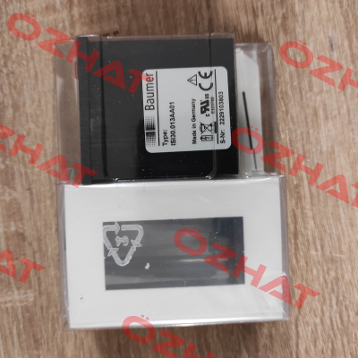ISI30.013AA01 / 10153638 Saia-Burgess