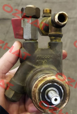 10284 Procon