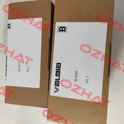 repair kit for 82SR0021 Valbia