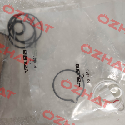 seal and wear part set for Model 63 Valbia