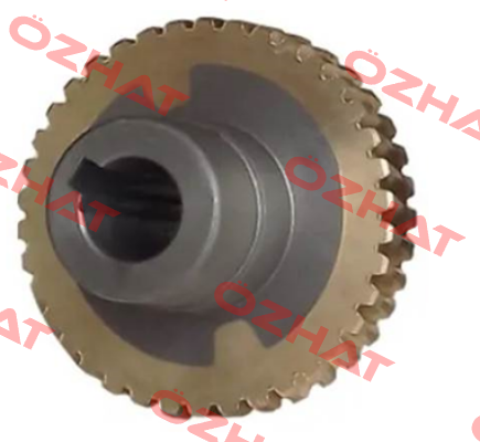 toothed for NMRV/050 Motovario