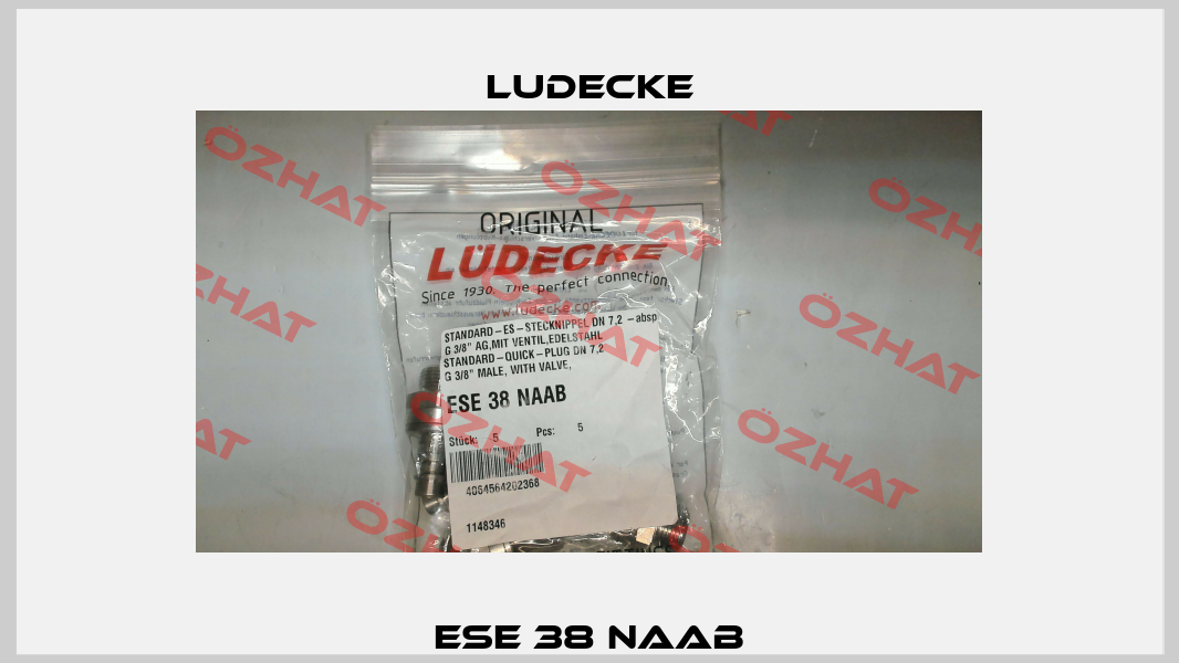 ESE 38 NAAB Ludecke