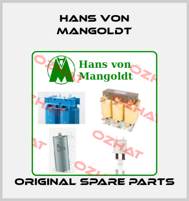 Hans von Mangoldt