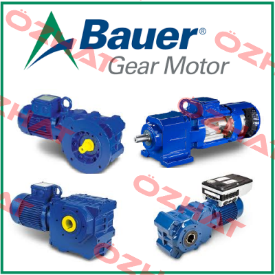 BK40X-35VW/DHE08XA4-TF/C2 Bauer