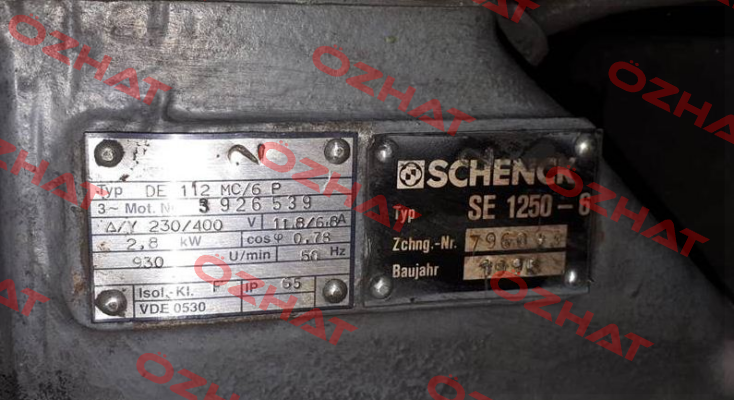 SE 1250-6 Obsolete! Replaced by Typ F 1300-6-7.0  Schenck
