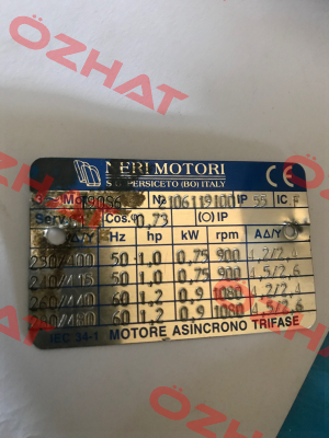T90S6 / 2106119100  Neri Motori