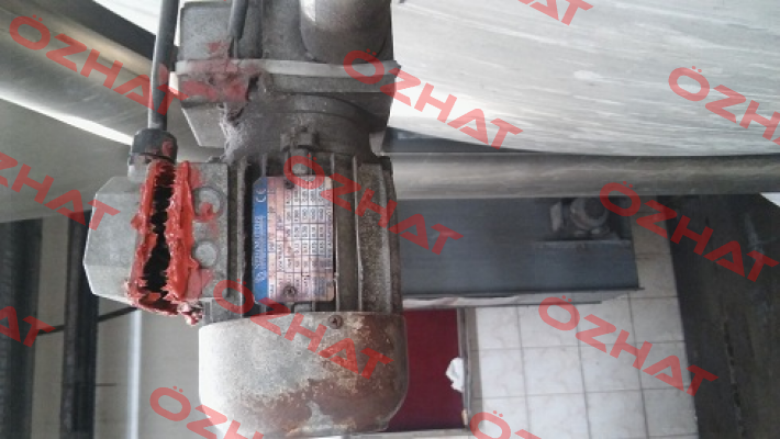 T 56B 4P B14   Neri Motori