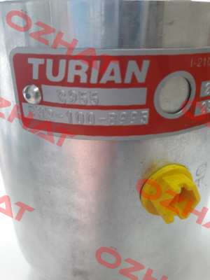 GHR 100-B955 Turian