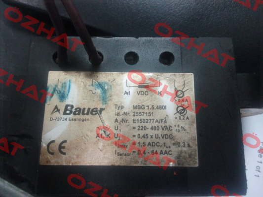 30404564 Bauer