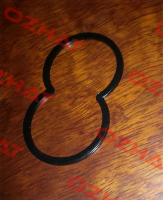 Gasket for GSP2-BOX customized  Rexroth